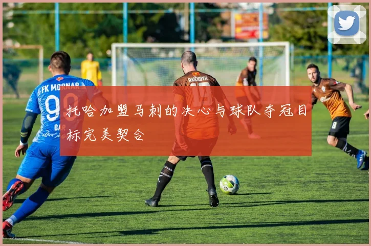 托哈加盟马刺的决心与球队夺冠目标完美契合