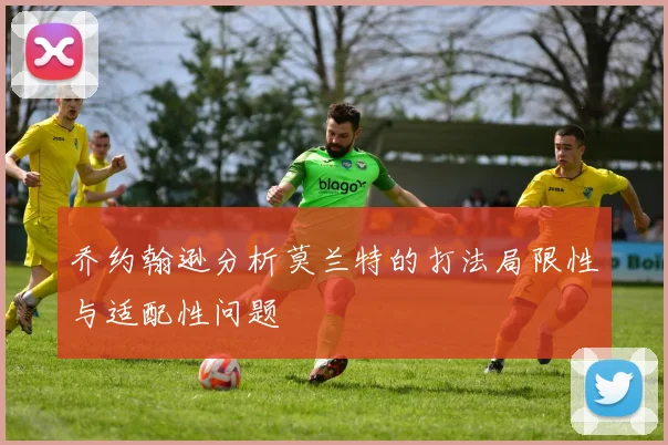 乔约翰逊分析莫兰特的打法局限性与适配性问题